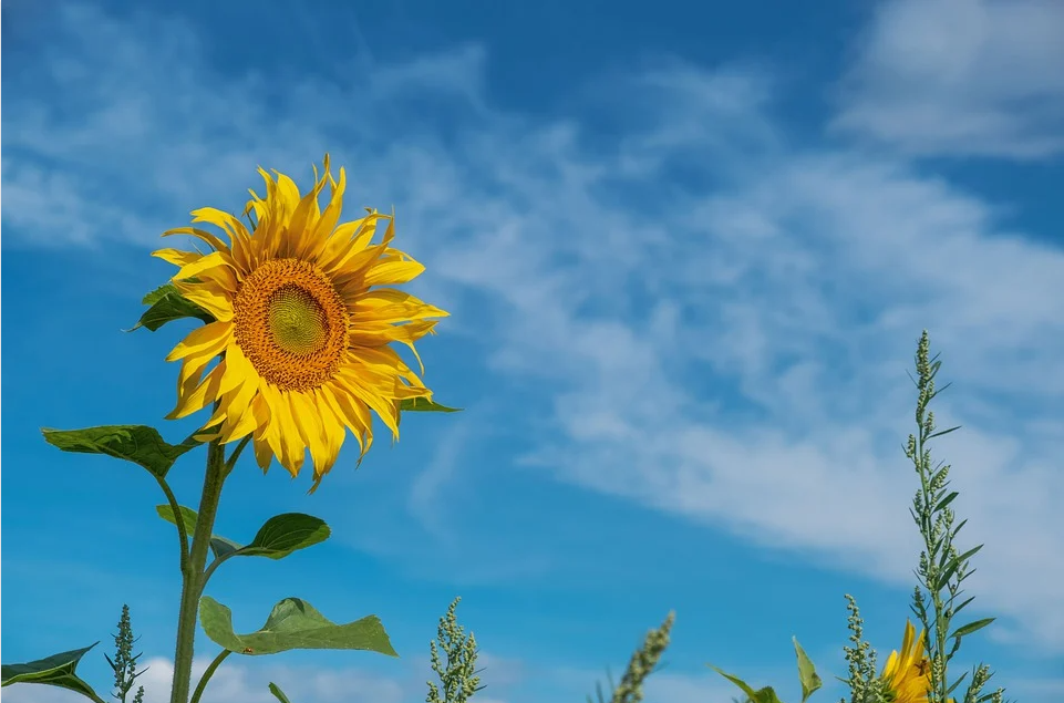 1680072458962047628.png 图片3.png