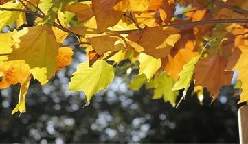 1692260622319041697.jpg b7ab75cdd39e453579d7e4e355c8d7b.jpg