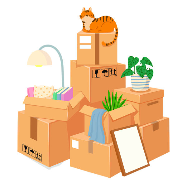 1709191787505007918.png 22.png