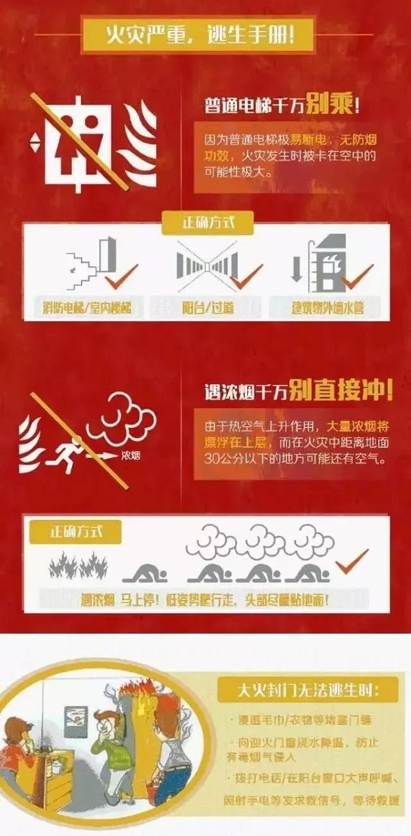 1709542619207050543.jpg 8.jpg