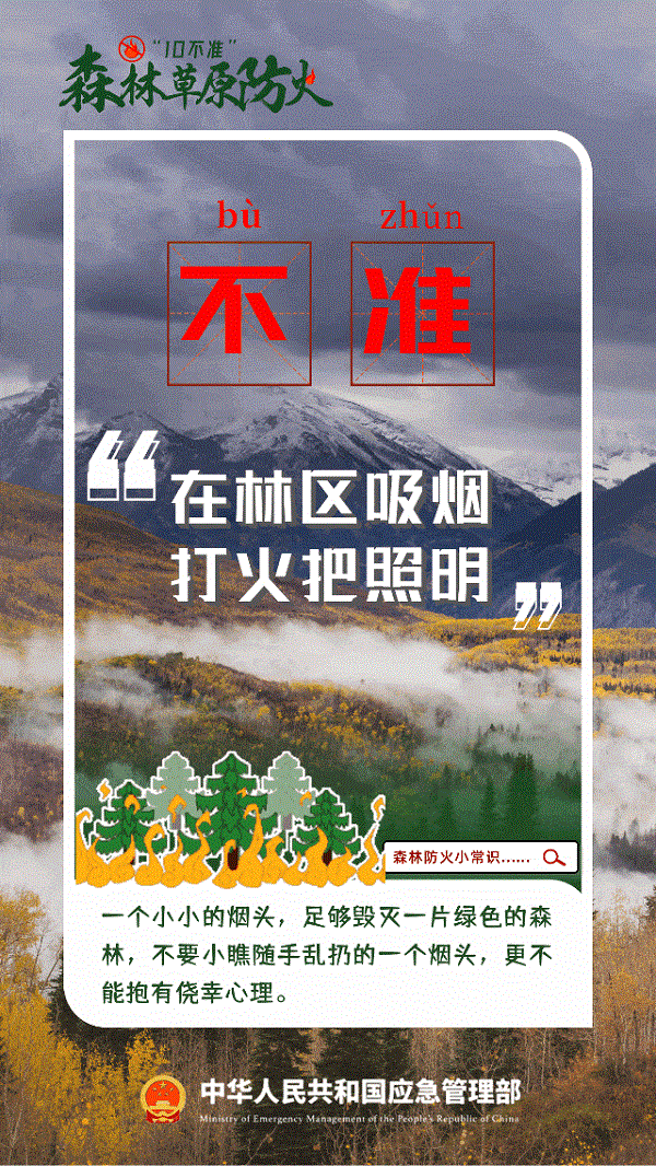 1710920665237023597.gif 4.gif