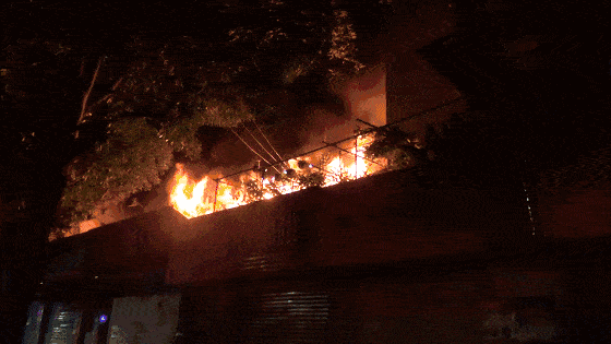 1711354840940044860.gif 33.gif