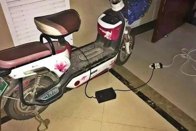 1711354914671038696.jpg 88.jpg